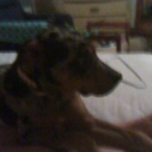 Meet your Posher, Nicholas